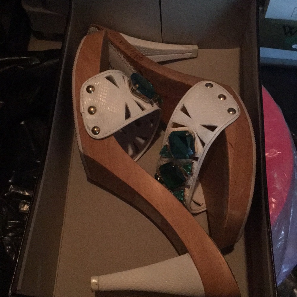 Anisette Elegant Heels (Size 10)